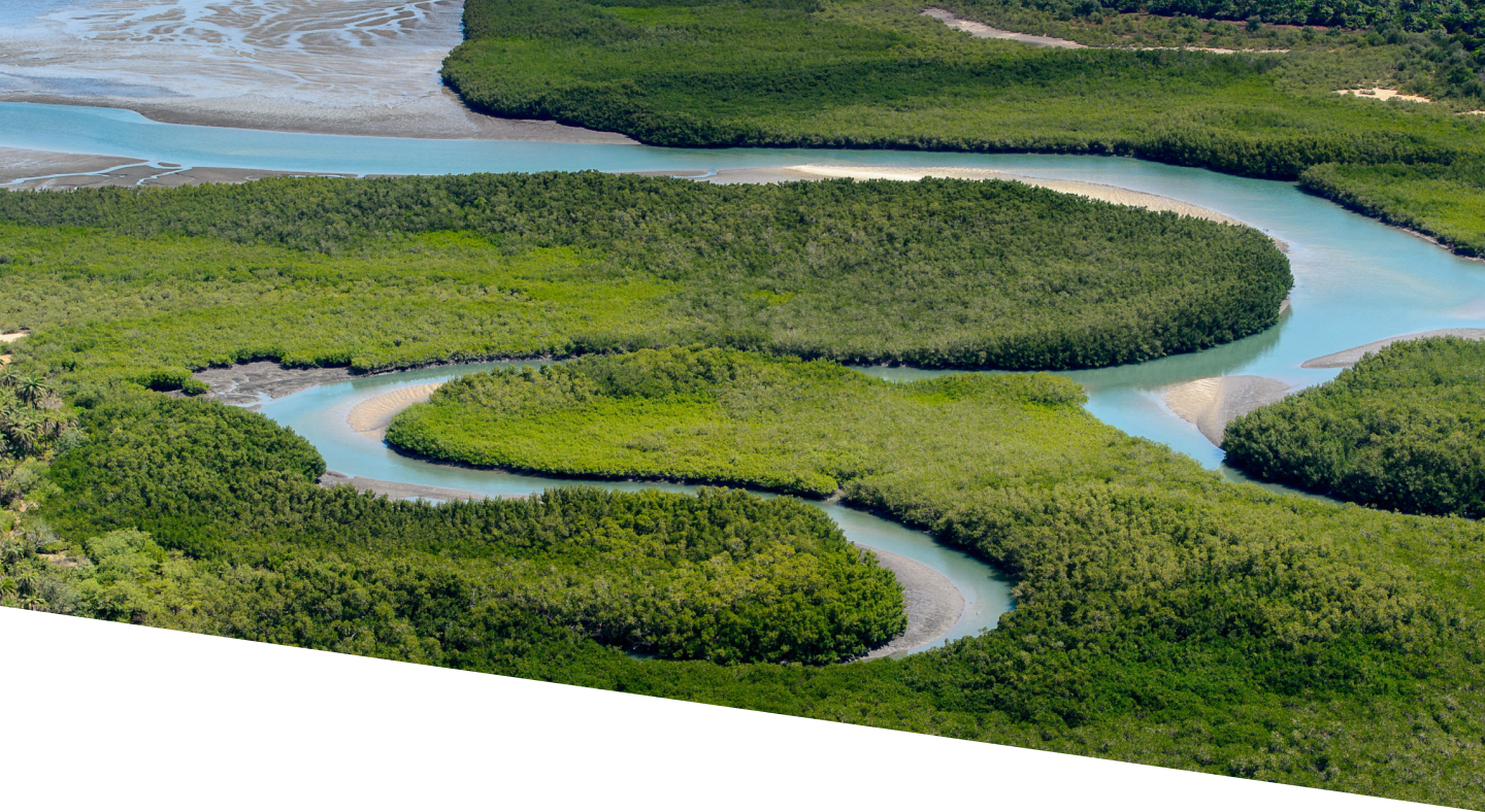 esim guinea bissau banner